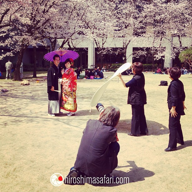 Séance photo de jeunes mariés sous les sakura d’Hiroshima.