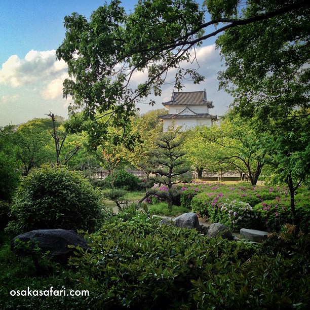 Les jardins, parfois secrets, du château d’Osaka