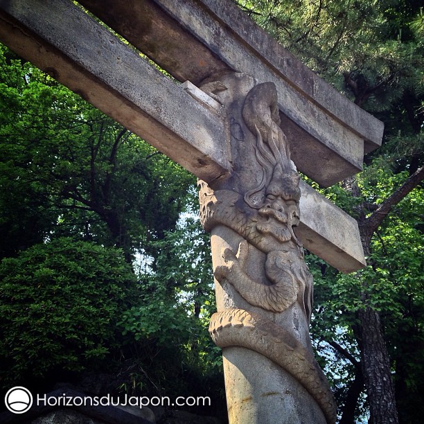 Un torii entouré par un dragon