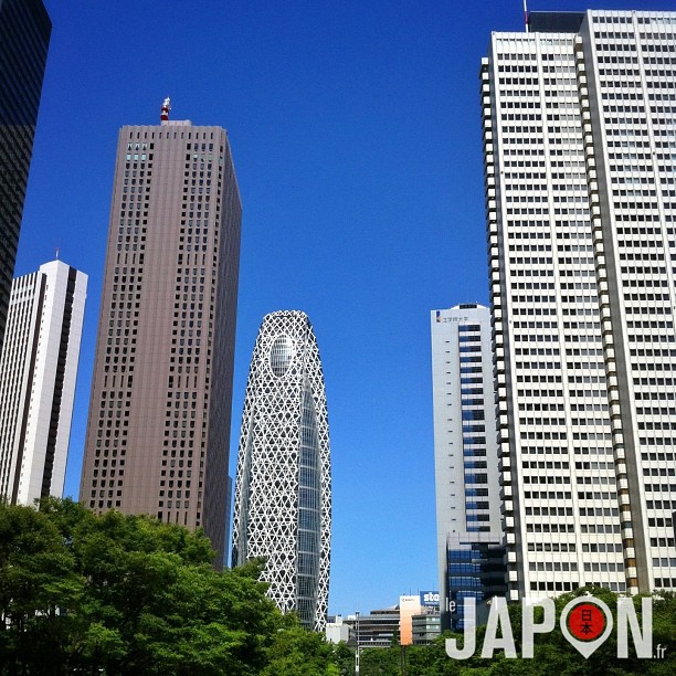 Dans la jungle tokyoïte certains arbres sont plus grands que d’autres ! Magnifique ciel bleu aujourd’hui :)