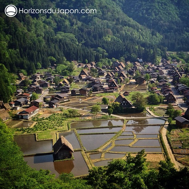 Sur les hauteurs de Shirakawa-go