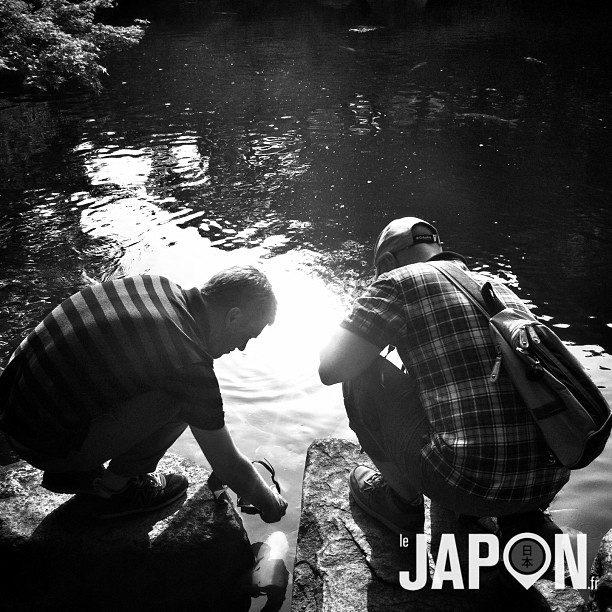 @horizonsdujapon montre au Safariste du jour comment on attrape les carpes à mains nues. Technique inventée à Osaka ;)