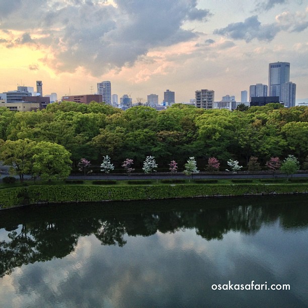 Osaka au dessus de la canopée
