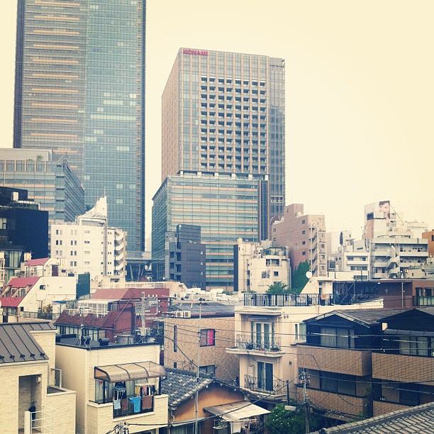 Je passe à Roppongi chercher les Safaristes du jour dans le fief de @tigroumeow !