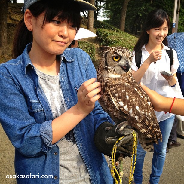 Osaka c’est chouette !