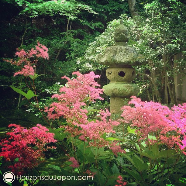 Couleurs de juin à Kyoto