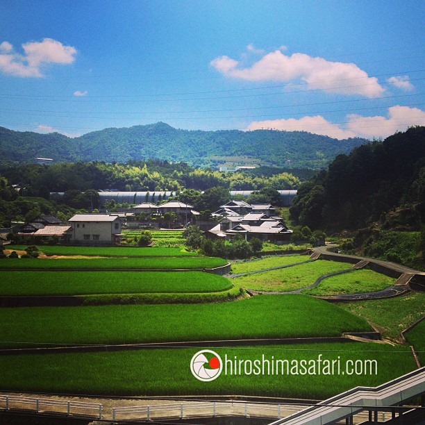 Hiroshima est l’endroit parfait pour se ressourcer.