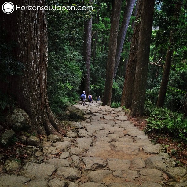 Je réalise enfin le rêve de marcher sur le chemin de pèlerinage de Kumano