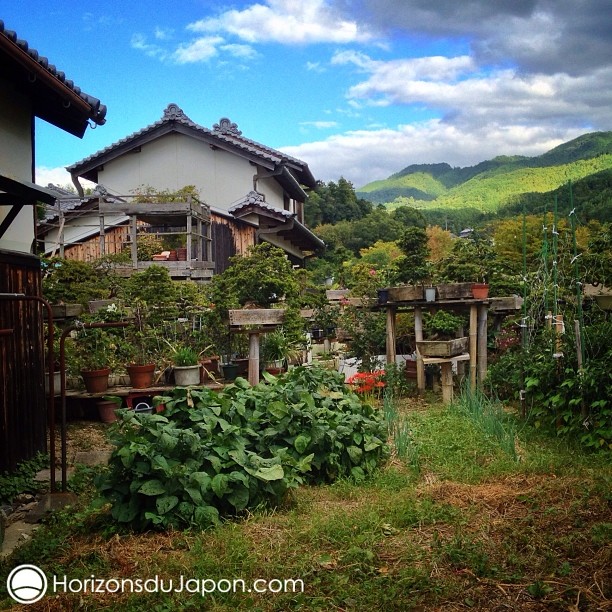 La campagne japonaise comme je l’aime