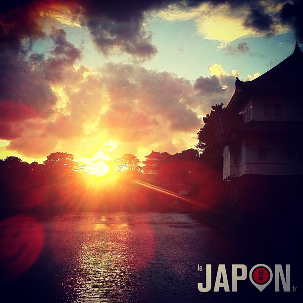 La conclusion de mon dernier Tokyo Safari était top… Mais avec le typhon qui passe sur le Japon, ça va être dur d’avoir ça les prochains jours…