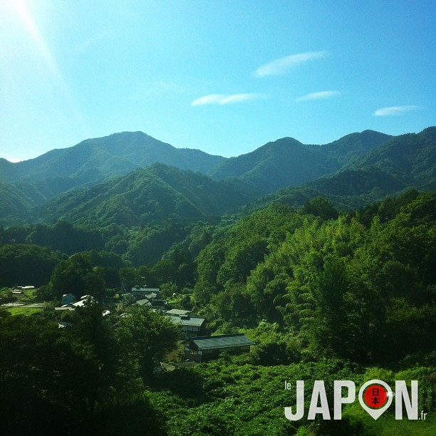 Ça fait du bien de sortir de Tokyo et redécouvrir la nature sauvage !