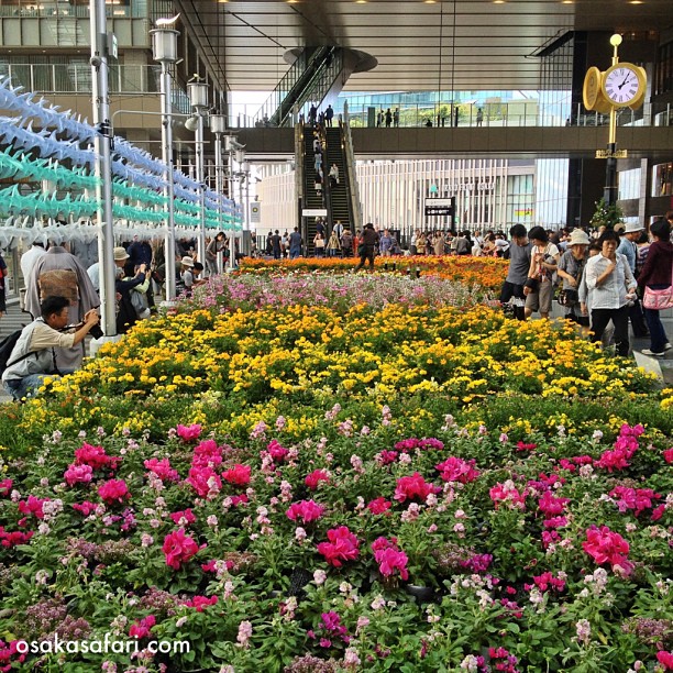 La gare JR d’Osaka fleurie à nouveau