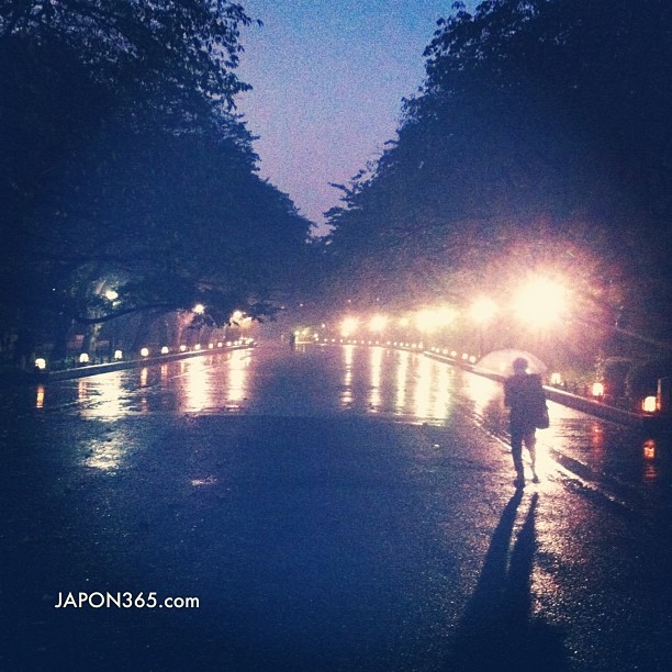 Météo idéale pour une balade tranquille dans le parc de Ueno !