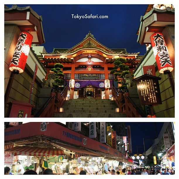 Ameyoko by Night ! Les Tokyo Safari finissent en nocturne avec les journées qui raccourcissent :)