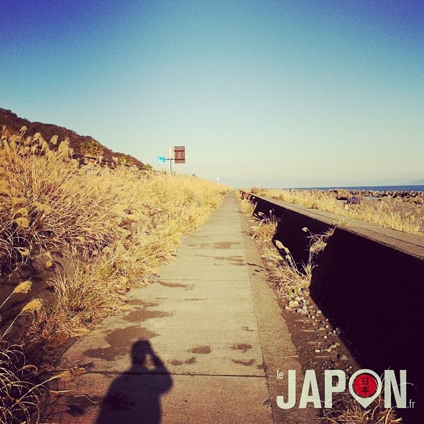 Hum… J’ai pas eu l’idée du siècle en prenant ce chemin… 8Km à pieds…