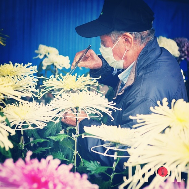 On bichonne les fleurs au Japon !