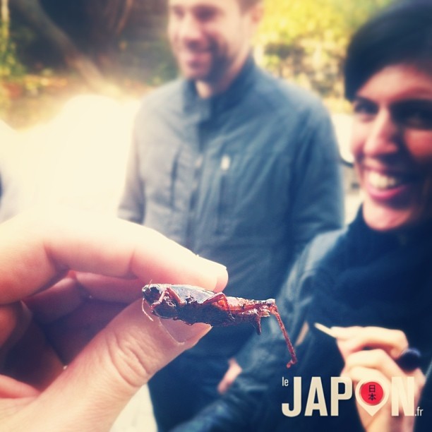 Les Tokyo Safari c’est aussi faire des expériences culinaires inattendues ! Miam :D
