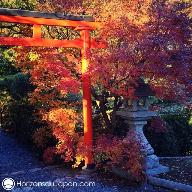 Torii d’automne