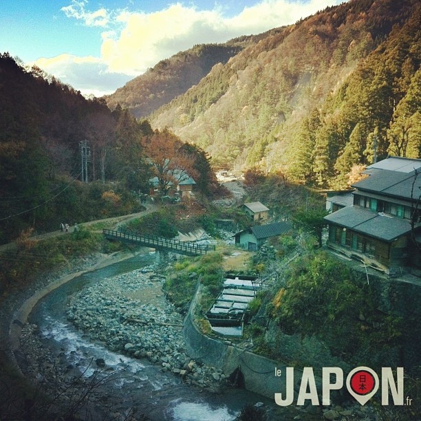 Dans la vallée aux singes de Yamanouchi (Nagano)