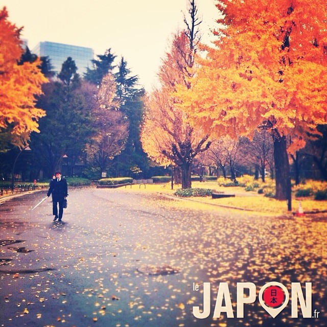 Courage ! Le soleil revient samedi à Tokyo !