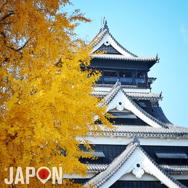 Le château (en béton) de Kumamoto fait parti des 3 plus grands du Japon !