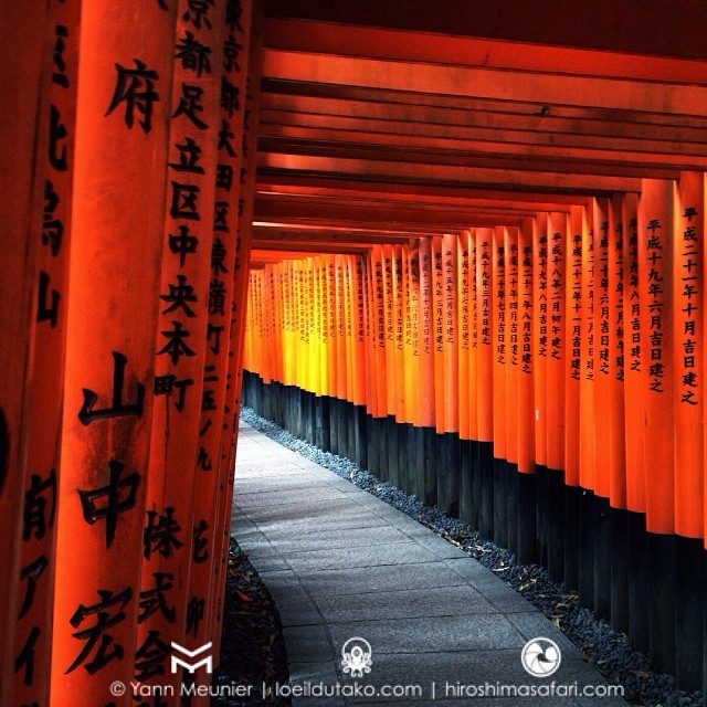 Un classique de Kyoto : la visite du Fushimi Inari avec ses kilomètres de torii vermillons.