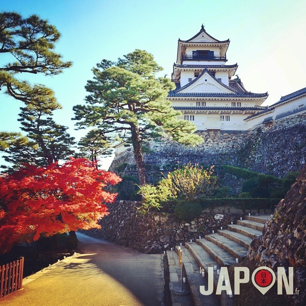 Joli château de la ville de Kochi (Shikoku), qui un des rare à être originel !