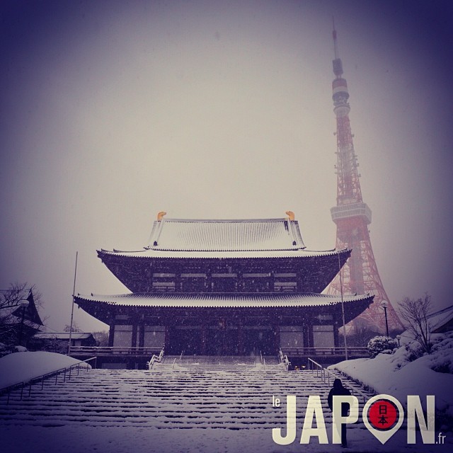 Tokyo sous la neige : Temple Zojoji