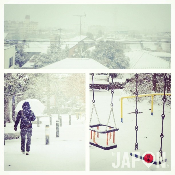Aujourd’hui ça sera mon 1er Tokyo Safari sous la neige !