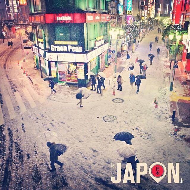 Tokyo sous la neige : Shinjuku