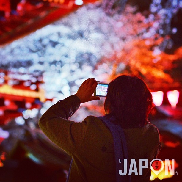 Les Sakura nocturnes à Tokyo sont les plus beaux, non ?