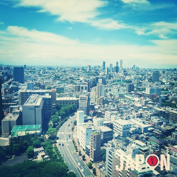 Seule trace du méga typhon sur Tokyo : un joli ciel bleu le matin qui s’est couvert petit à petit : )