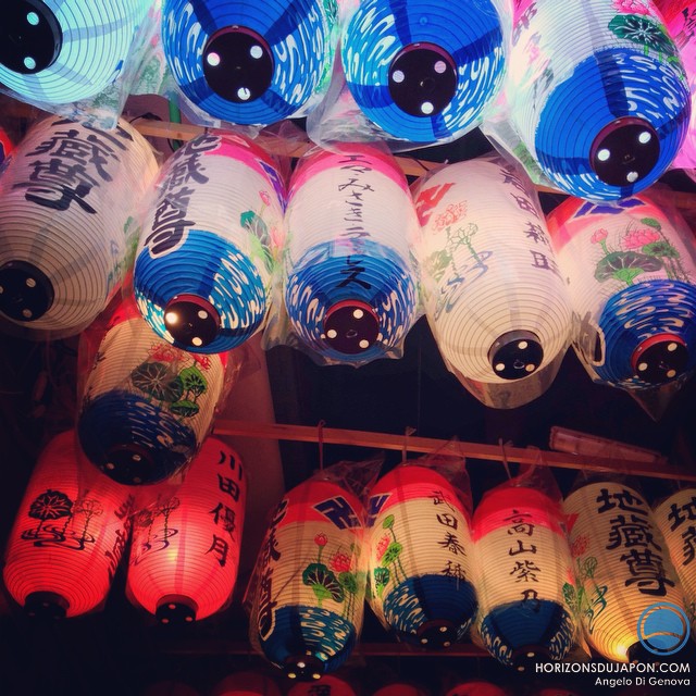 Safari nocturne sous les lanternes d’Osaka