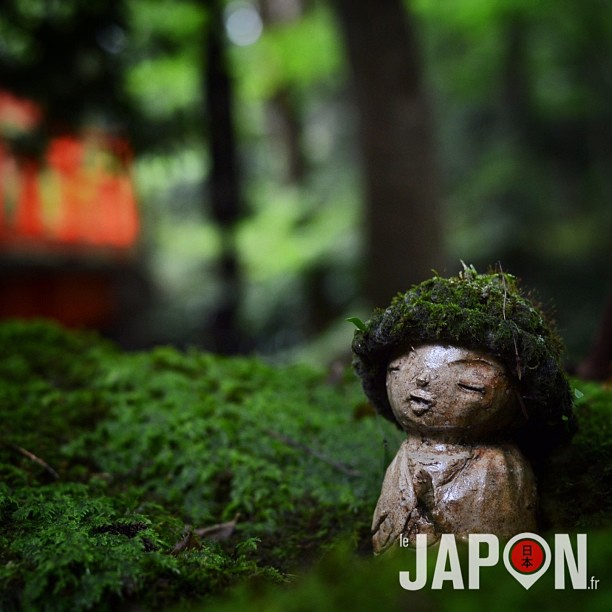 Kyoto et ses jardins secrets loin des touristes ! Merci @horizonsdujapon pour la balade :)