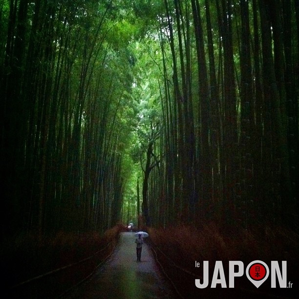 Arashiyama et sa mystérieuse forêt de bambous oo