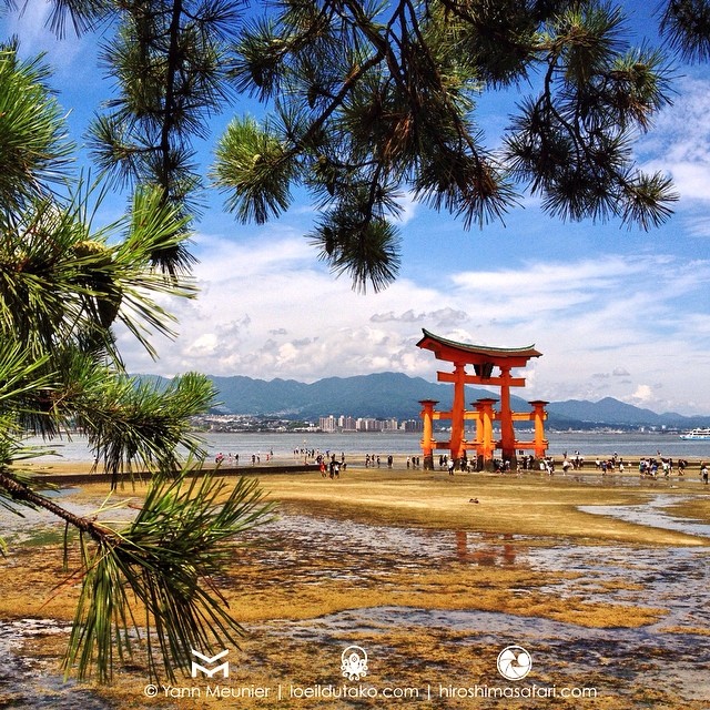 Miyajima ma seconde maison :)