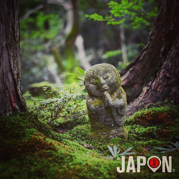 Le Japon et la forêt des dieux :)