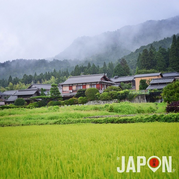 Campagne japonaise et ses rizières :)