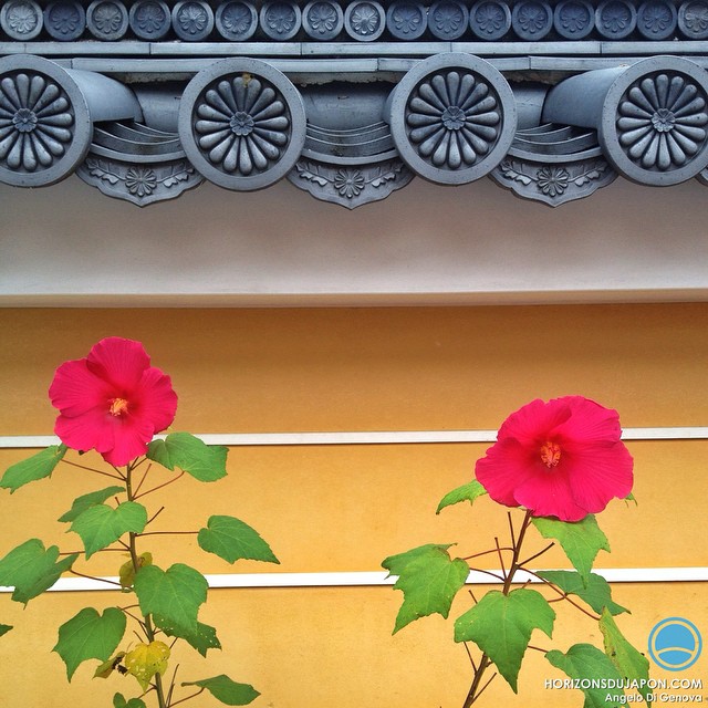 Quelques fleurs dans un temple