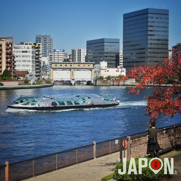 Ciel bleu, feuilles rouges… Tokyo glisse doucement dans l’automne ! :)