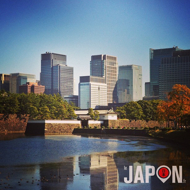 Automne à Tokyo, acte 1 ! #tokyosafari