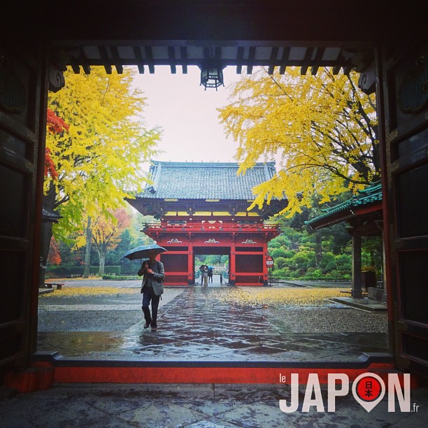 Automne à Tokyo, acte 2 ! Sensation d’être à Kyoto dans la mégapole ! #tokyosafari