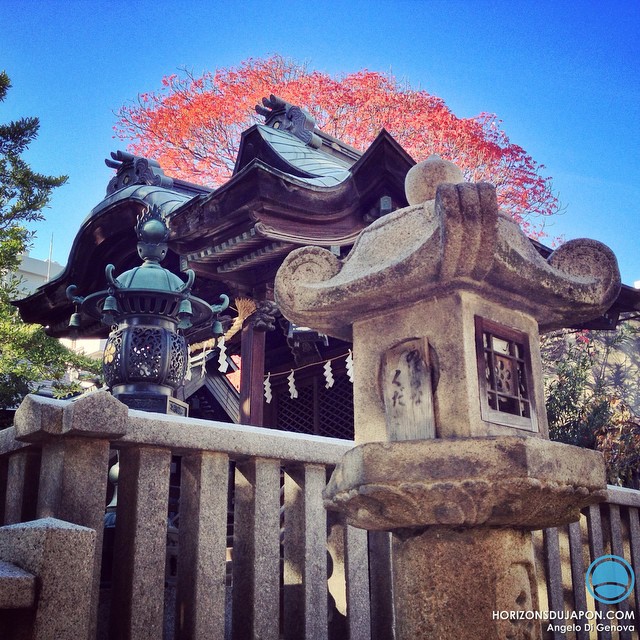 L’automne, la bonne occasion pour revenir dans les temples et sanctuaires