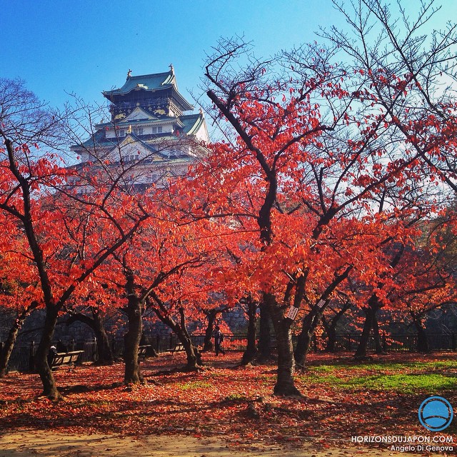 Château d’Osaka et ses couleurs d’automne
