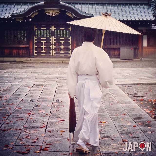 Automne à Tokyo, acte 3 ! Les feuilles se ramassent à la pelle… #TokyoSafari