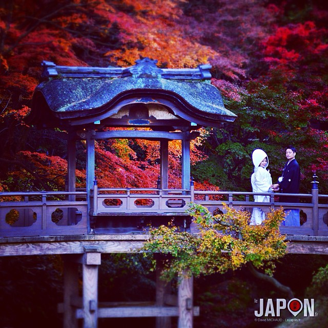 L’automne à Yokohama : la ville des photos de mariages, à 25 minutes de Tokyo ! #YokohamaSafari