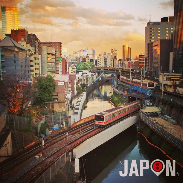 Ohayo ! Froid de canard à Tokyo… Et chez vous ? #tokyosafari
