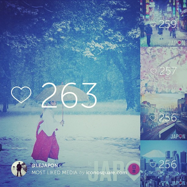 Merci pour m’avoir suivit en 2014 sur Instagram, Tweeter, Facebook et https://japon365.com ! Merci pour tous vos « like » & com’