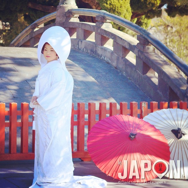 #Kamakura Hachimangu Shrine last Saturday. Samedi dernier