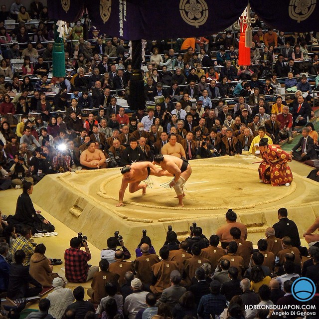 Le tournoi de #sumo a commencé  à #osaka depuis dimanche !